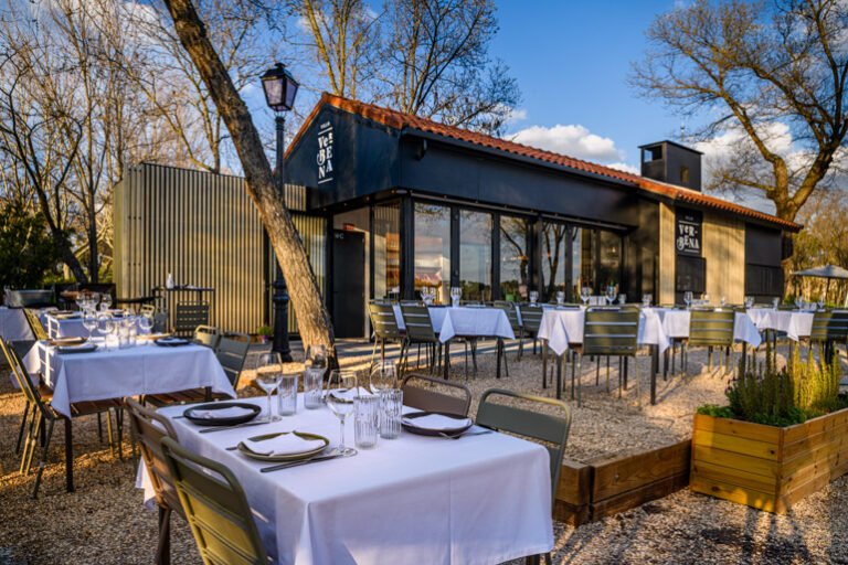 bar acogedor en parque urbano