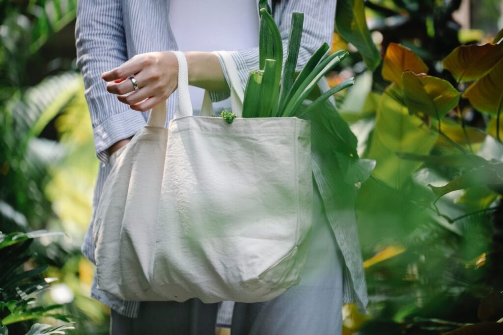 Qué es Ecofriendlybags y qué ofrece su fábrica de bolsas ecológicas 1 bolsas ecologicas reutilizables en entornos naturales