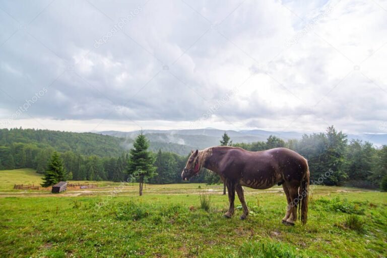 caballos pastando en un paisaje natural