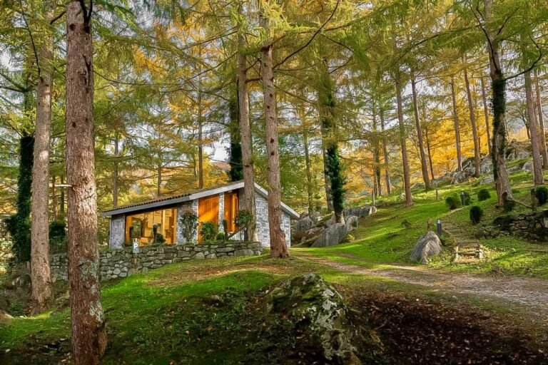 Dónde encontrar las mejores cabañas Los Naranjos en Santa Rosa de Calamuchita 19 cabanas rodeadas de naturaleza en montana