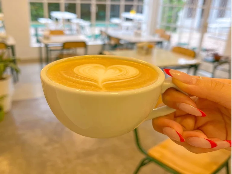 Dónde se encuentra Le Pain Quotidien en La Plata 3 Dónde se encuentra Le Pain Quotidien en La Plata