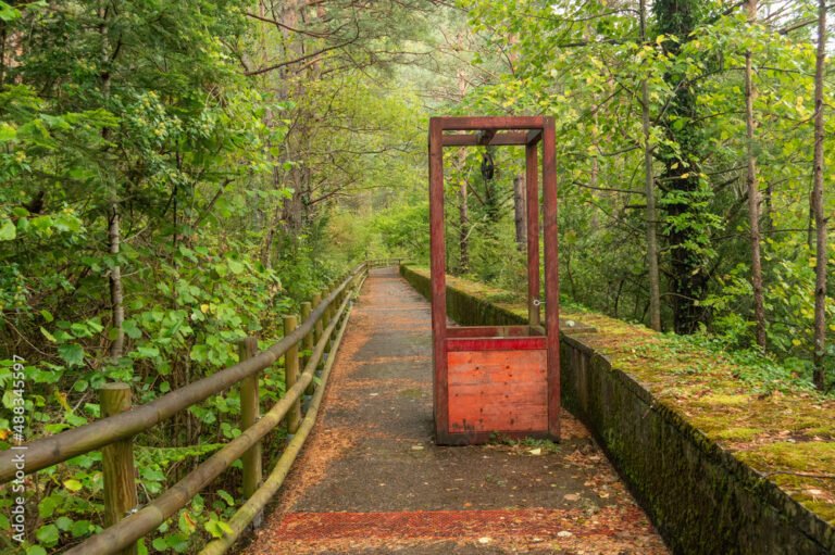 camino rodeado de naturaleza y sorpresas