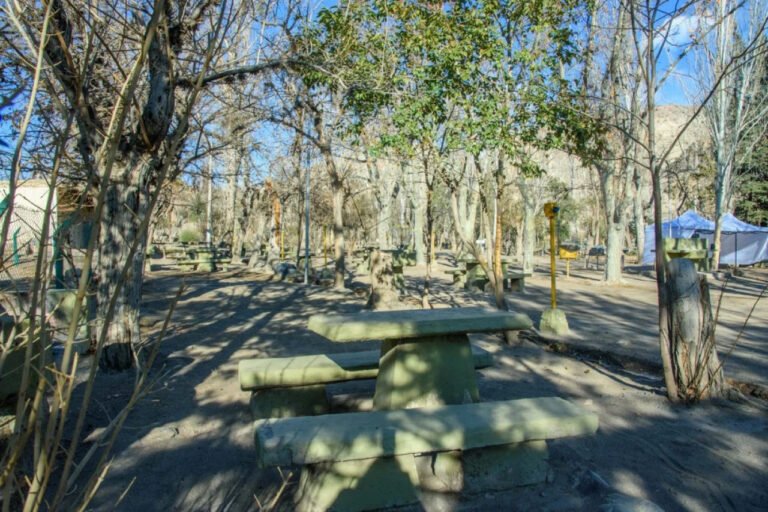 Dónde encontrar un camping del Movimiento Familiar Cristiano en San Rafael, Mendoza 17 camping rodeado de naturaleza en mendoza