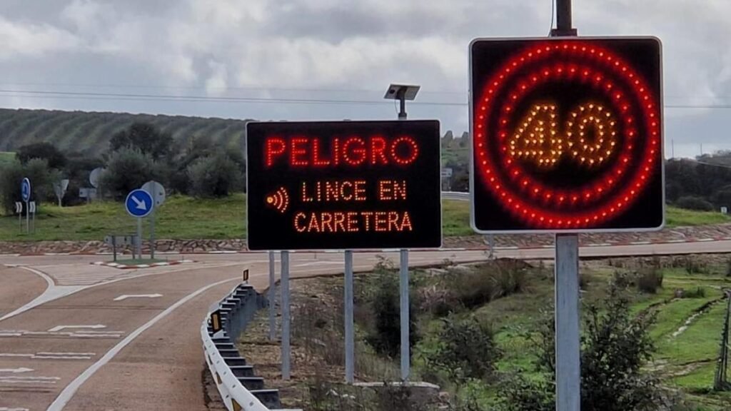 Qué beneficios ofrece el pase para todas las autopistas para discapacitados 8 Qué beneficios ofrece el pase para todas las autopistas para discapacitados