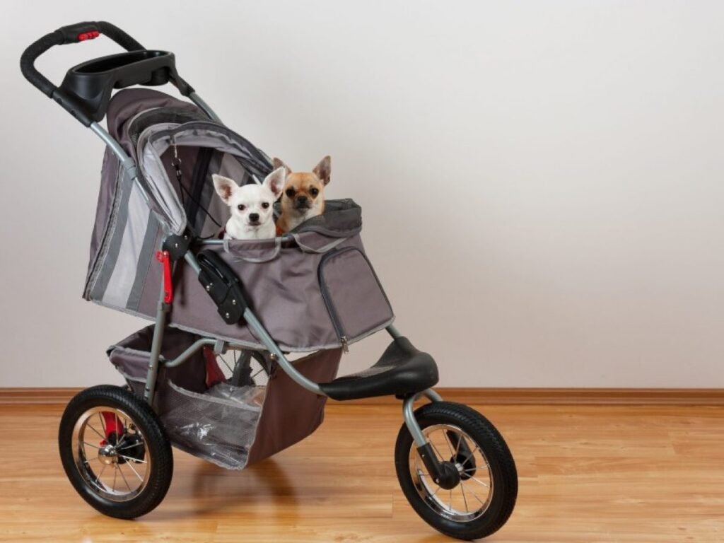Dónde puedo encontrar un carro para perros con patas traseras 3 Dónde puedo encontrar un carro para perros con patas traseras