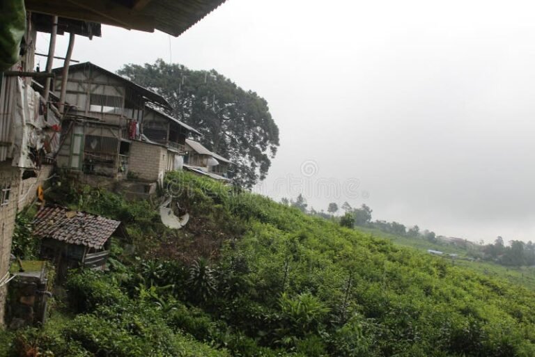 casa de te en un paisaje montanoso