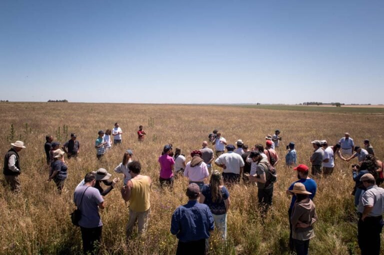 Qué es el Chango más famoso de Santiago del Estero 27 chango sonriente en un paisaje santiagueno