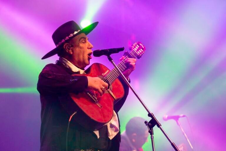 chaqueno palavecino en concierto al aire libre
