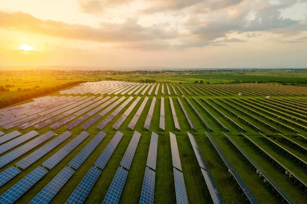 Qué es Seaboard y cómo conecta energías renovables con alimentos 7 Qué es Seaboard y cómo conecta energías renovables con alimentos