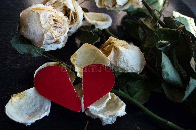 De qué trata la canción "Un siglo sin ti" de Chayanne 1 corazon roto con flores marchitas 2