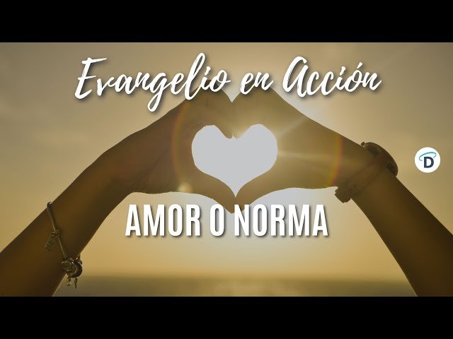 De qué trata la frase "misericordia quiero y no sacrificio" 3 De qué trata la frase «misericordia quiero y no sacrificio»