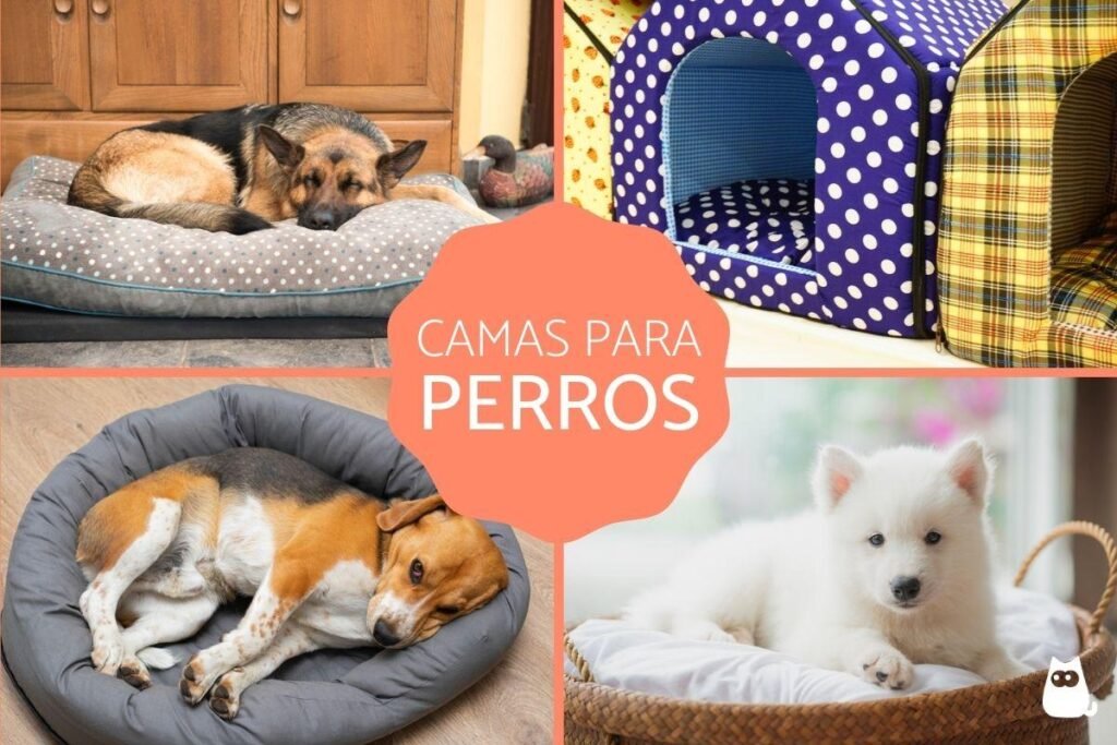 Qué tipos de cuchas para perros de tela son las mejores para tu mascota