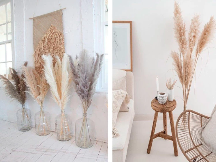 Cómo usar la cola de zorro para decorar tu hogar de manera original