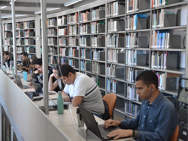 Qué consejos profesionales son útiles para estudiar Ciencias Económicas en Rosario