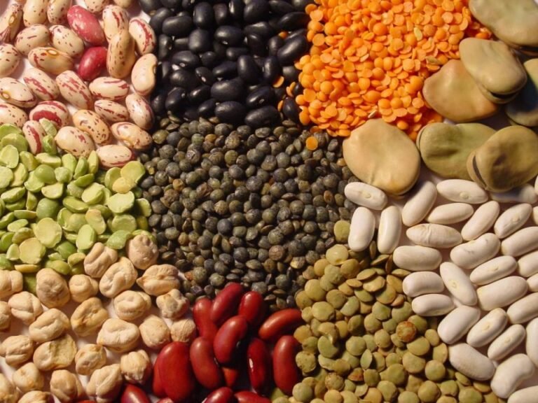 Qué información necesitas sobre las acciones de Molinos Río de la Plata 18 granos y productos alimenticios en un campo