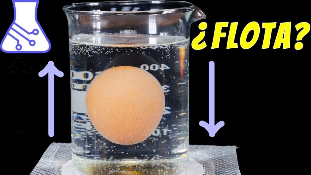 Qué significa que un huevo flote en agua y cómo saber si está malo 6 Qué significa que un huevo flote en agua y cómo saber si está malo
