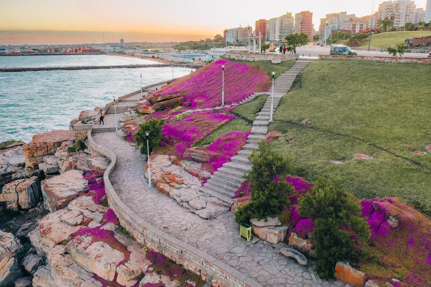 Qué servicios ofrece New Garden en Mar del Plata 5 Qué servicios ofrece New Garden en Mar del Plata