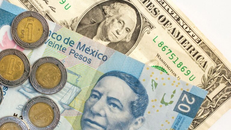 Cómo convertir de dólar a peso chileno de manera fácil y rápida 13 monedas de dolar y peso chileno juntas