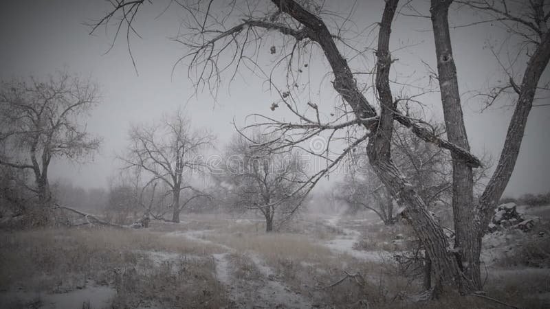 Qué temas aborda "Sui Generis" en su canción "Confesiones de Invierno" 3 Qué temas aborda «Sui Generis» en su canción «Confesiones de Invierno»