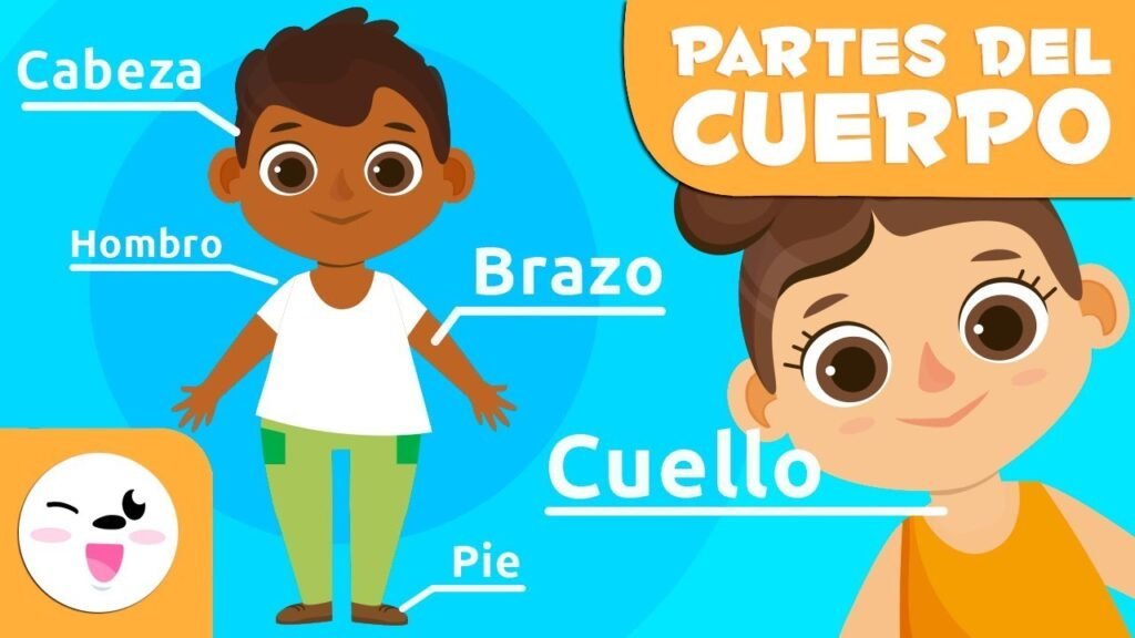 Cómo enseñar las partes del cuerpo a niños en preescolar 6 Cómo enseñar las partes del cuerpo a niños en preescolar