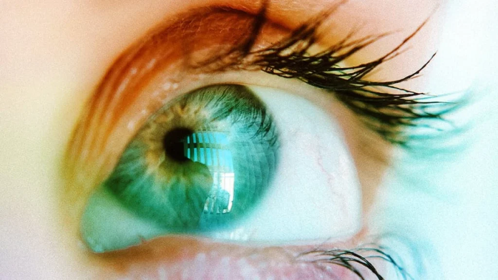 De qué trata la canción "Mi embrión vieron tus ojos" 6 De qué trata la canción «Mi embrión vieron tus ojos»
