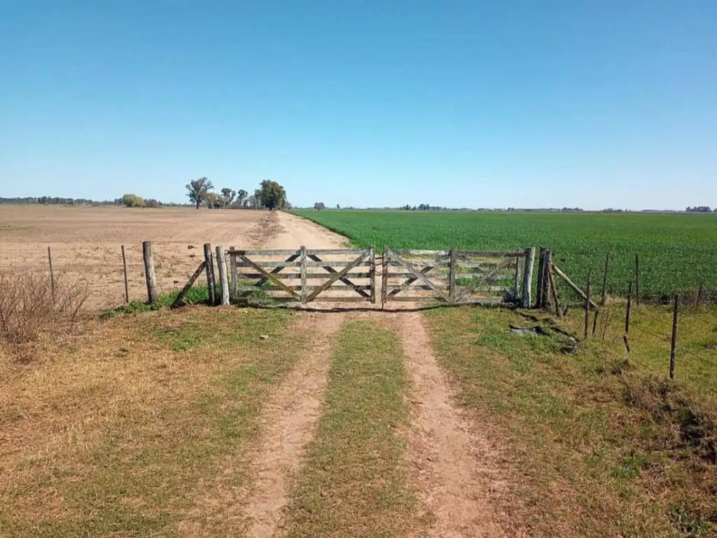 Qué clima hay en Corral de Bustos según YR 4 Qué clima hay en Corral de Bustos según YR