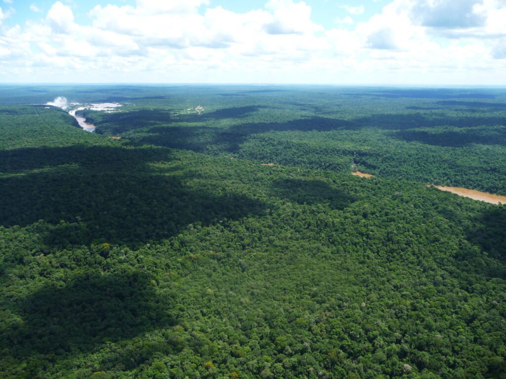 Cómo se dice "buen día" en guaraní y su significado 6 Cómo se dice «buen día» en guaraní y su significado