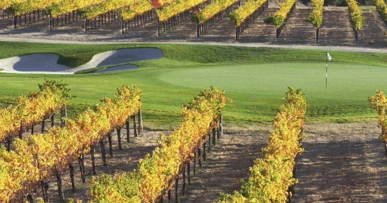 paisaje de vinedos y campo de golf