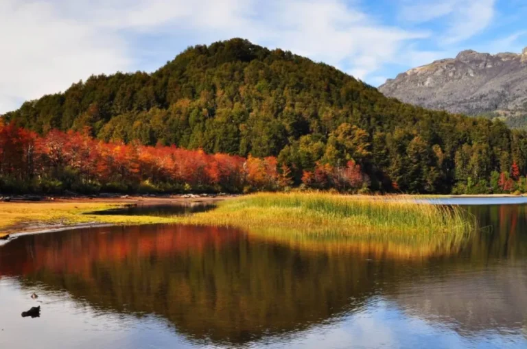 paisaje natural de brazo rincon villa la angostura