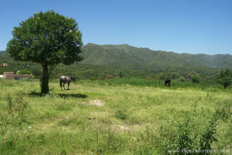 paisaje serrano de cordoba argentina