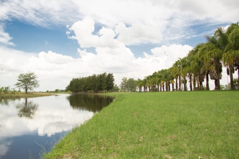 parque natural en marcos paz buenos aires