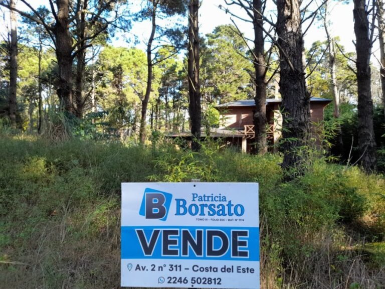 Quién es Patricia Borsato y qué ofrece en Inmobiliaria Costa del Este 5 patricia borsato en una oficina inmobiliaria