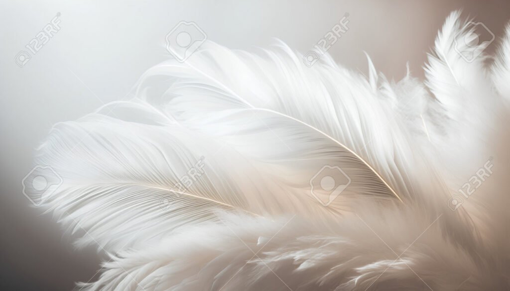 Qué significa encontrar una pluma blanca en tu camino