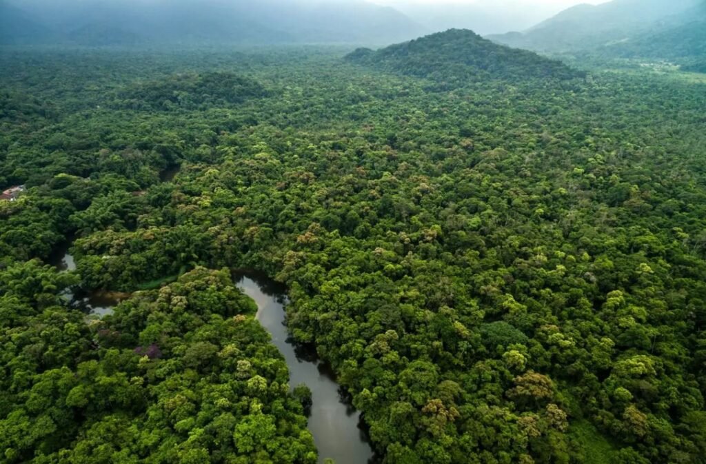 Cuál es el río más grande del mundo y qué lo hace especial 1 rio amazonas rodeado de selva exuberante