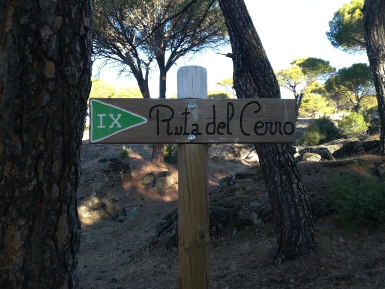 Qué actividades se pueden disfrutar en Pinares del Cerro Carlos Paz 19 sendero natural en pinares del cerro