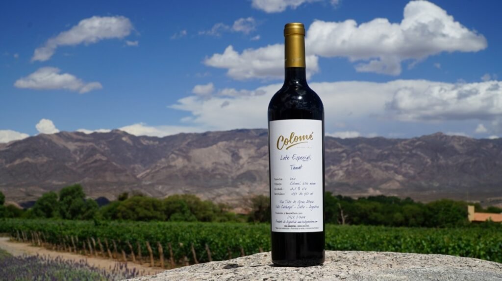 Qué ofrece la Bodega del Fin del Mundo en sus vinos y experiencias 7 Qué ofrece la Bodega del Fin del Mundo en sus vinos y experiencias