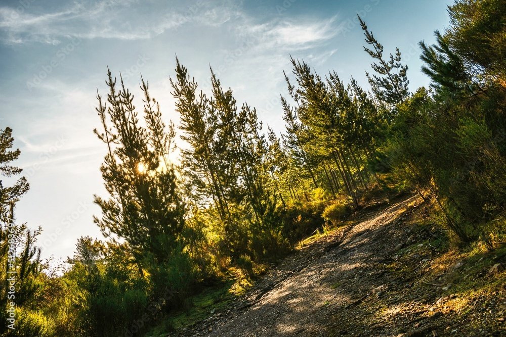 Qué servicios ofrece Solar del Bosque Country Club en Argentina